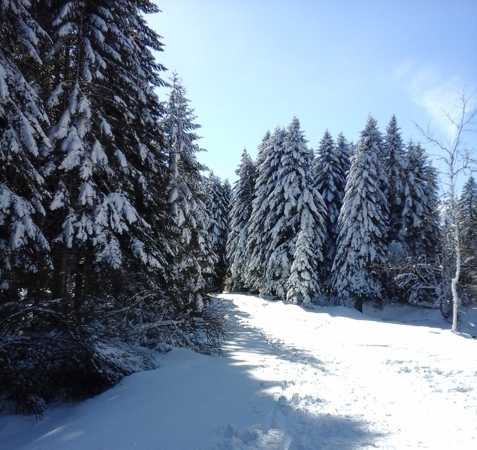20180224_111742 (2)
