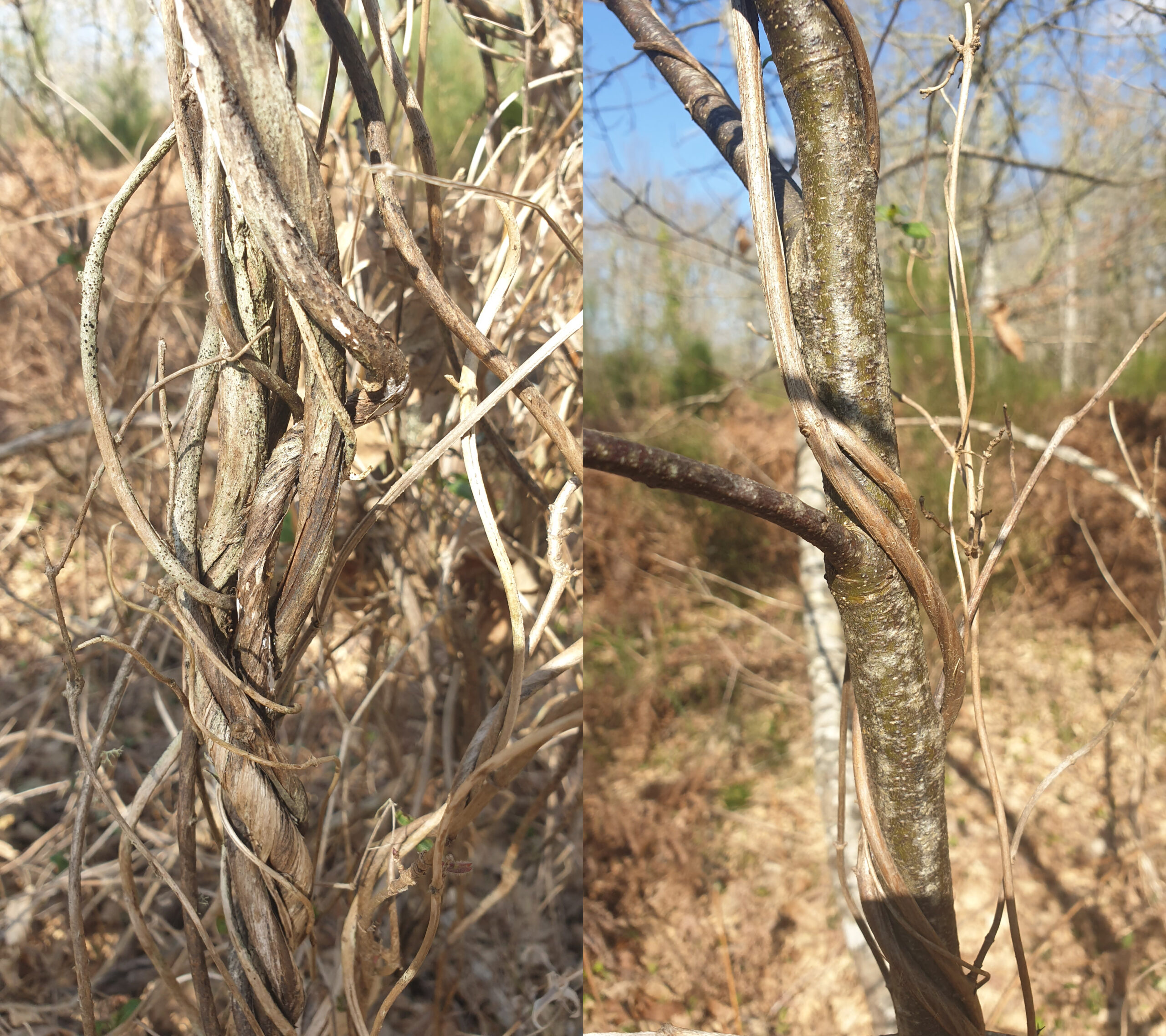 20220323_150548-merged