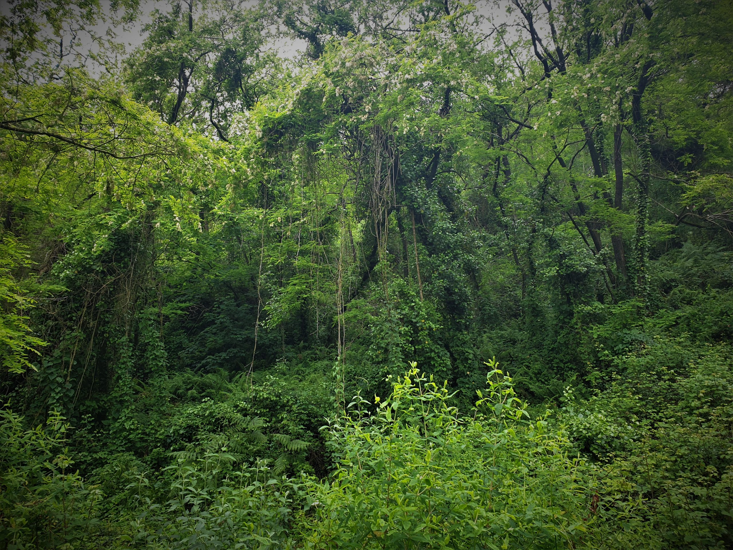 20230514_142451 (2)