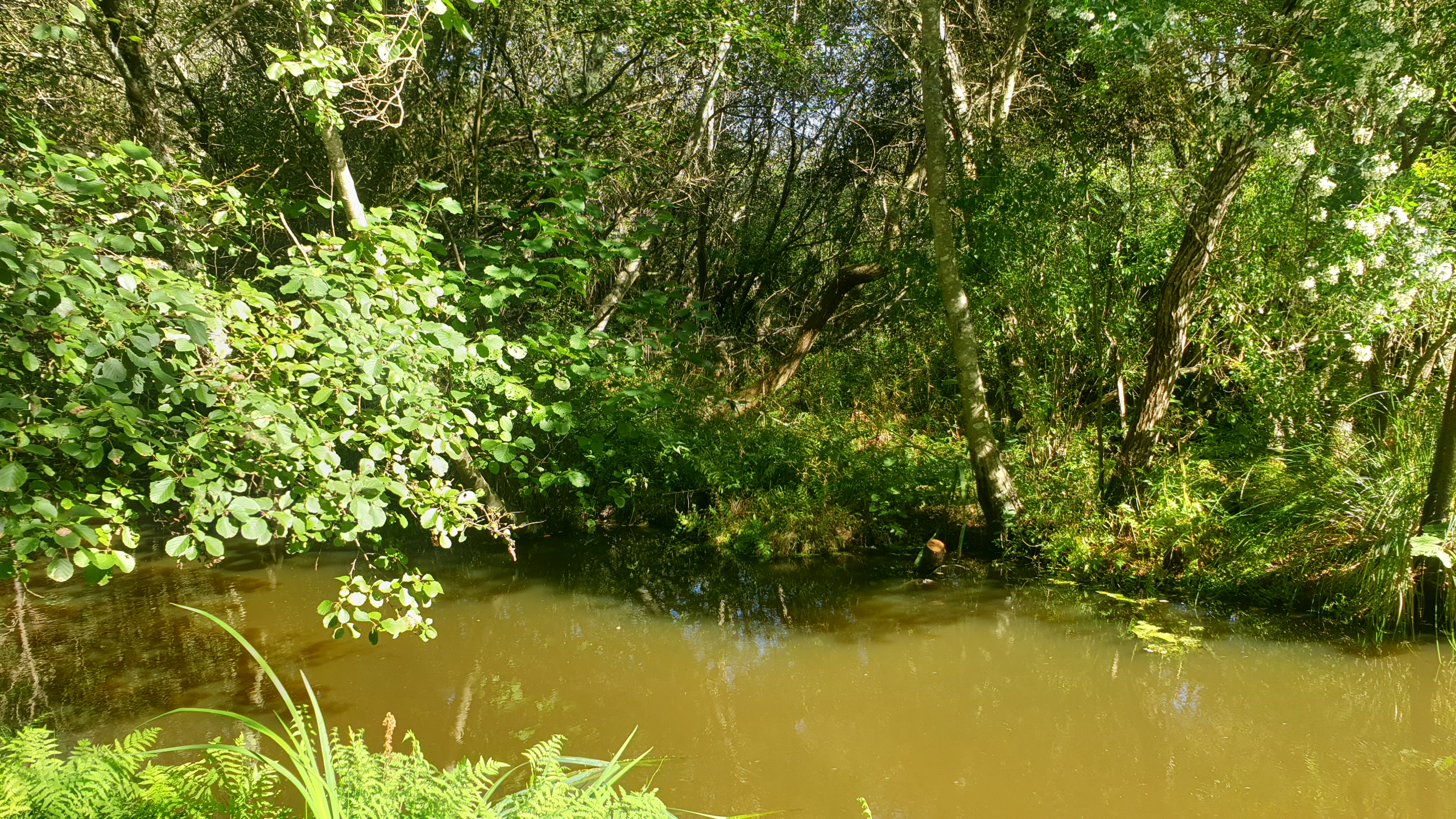 marais
